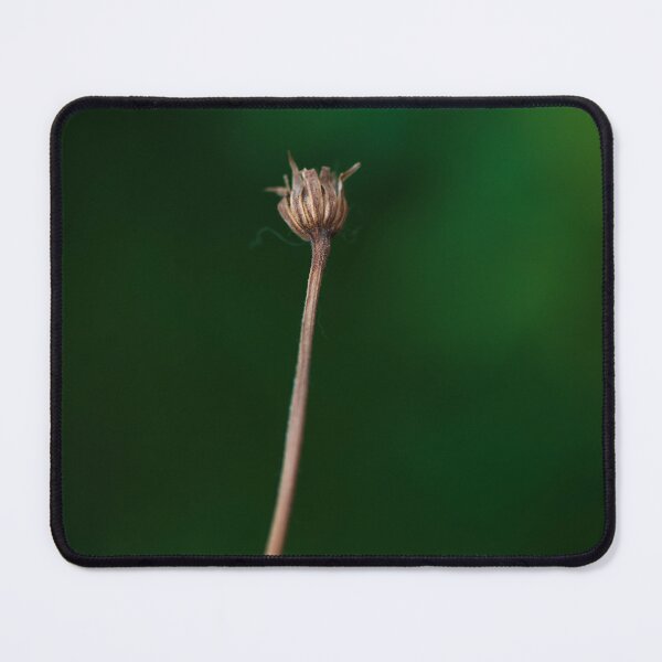 Item preview, Finished Daisy designed and sold by suziq1962.