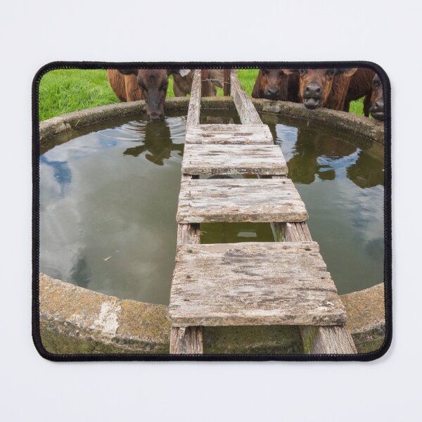 Item preview, Cows designed and sold by suziq1962.