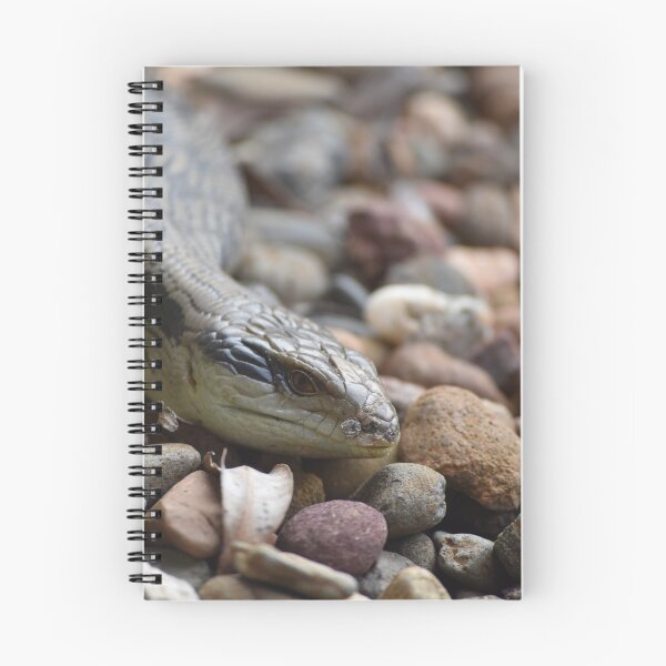 Item preview, Lizard Looking designed and sold by suziq1962.