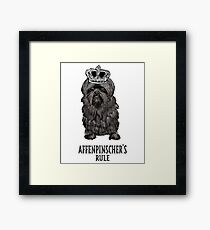 ROYAL AFFENPINSCHER Framed Print