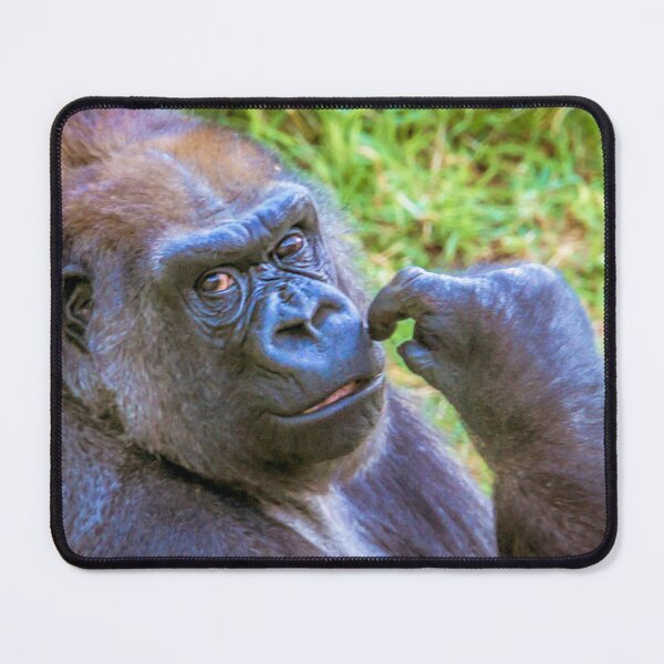 Item preview, Pensive Gorilla designed and sold by Steven Jodoin.