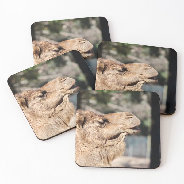 Item preview, Camel Profile designed and sold by smh2.