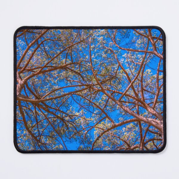 Item preview, Stone Pine Canopy designed and sold by Steven Jodoin.