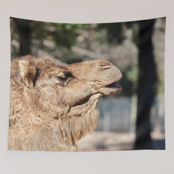Item preview, Camel Profile designed and sold by smh2.