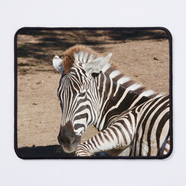 Item preview, Zebra designed and sold by smh2.