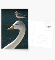 Bird On Bird Postcards