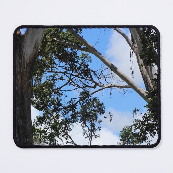 Item preview, Trees designed and sold by Jodie Cooper.