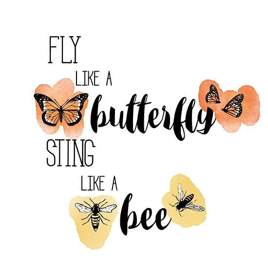 Fly Like A Butterfly Sting Like A Bee Manhwa "Fly like a Butterfly, Sting like a Bee" Poster by paytonsch | Redbubble