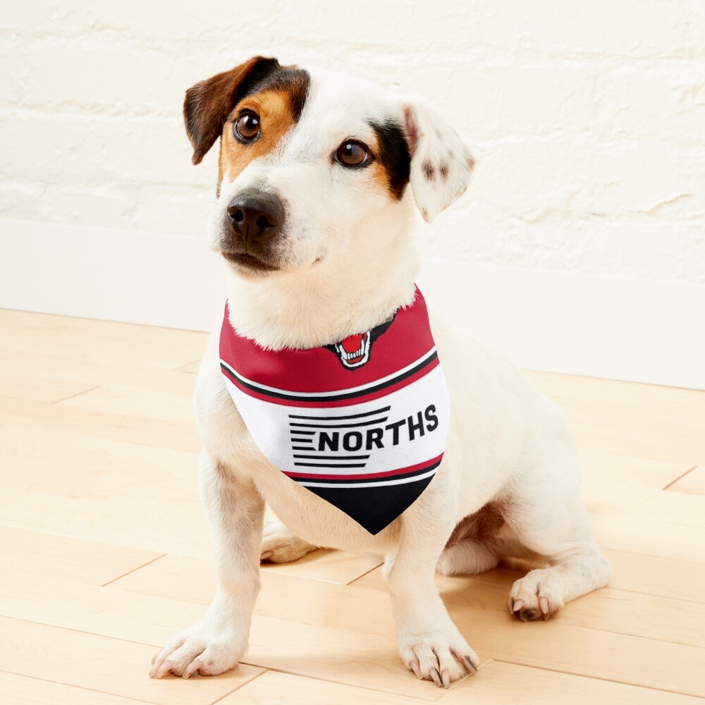 North Sydney Bears Pet Bandana for Sale by Undefeatd