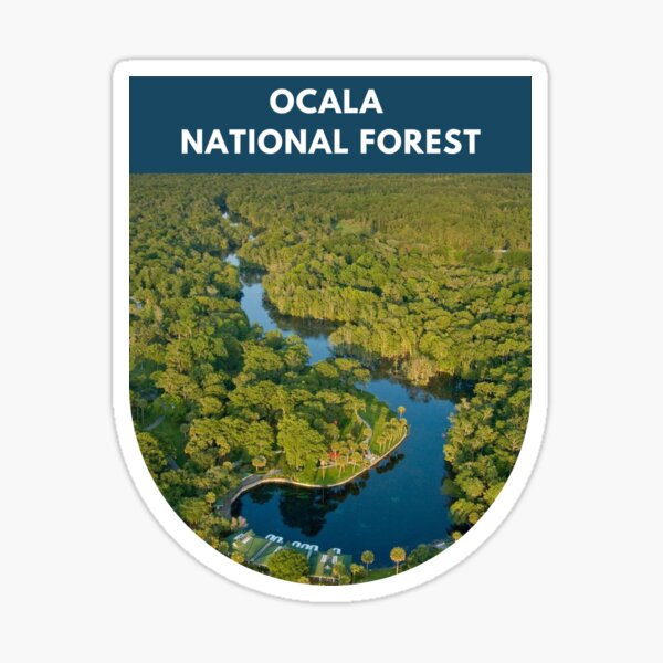 OCALA NATIONAL FOREST FLORIDA DECAL BUMPER STICKER LAPTOP WATER BOTTLE  DECAL +