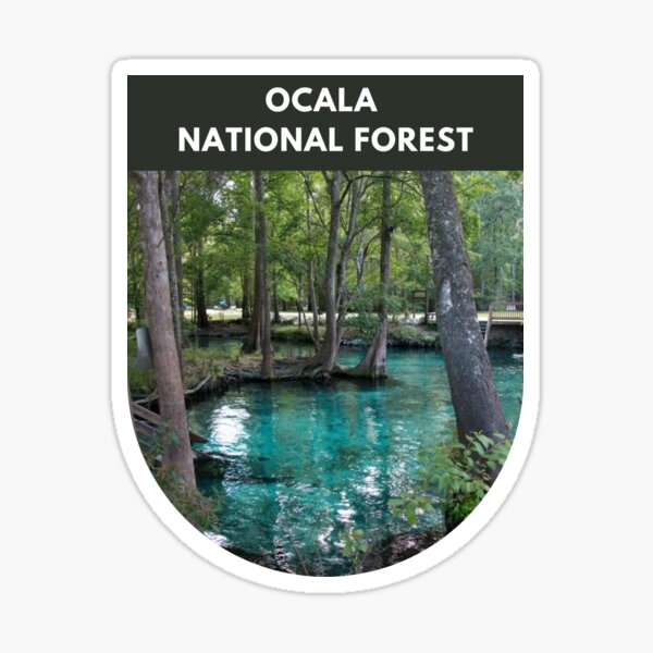 OCALA NATIONAL FOREST FLORIDA DECAL BUMPER STICKER LAPTOP WATER BOTTLE  DECAL +