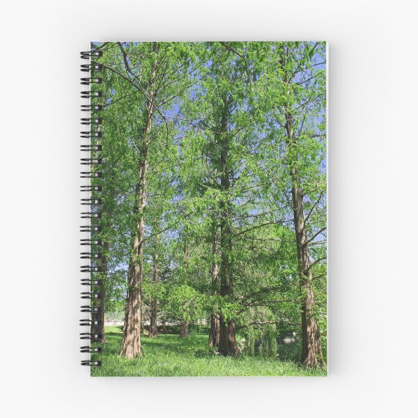 Item preview, Dawn Redwood designed and sold by Michiale.