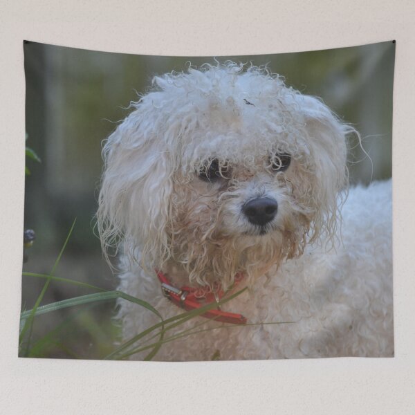 Item preview, Muddy designed and sold by lizdomett.