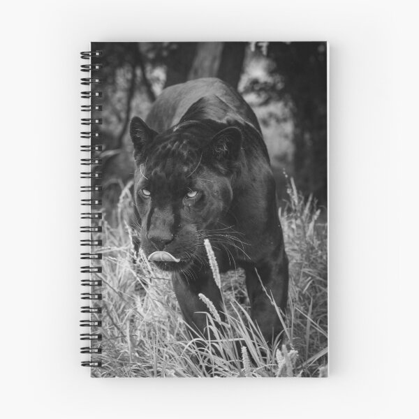 Item preview, Black Jaguar on the prowl designed and sold by Adrian Rowley.