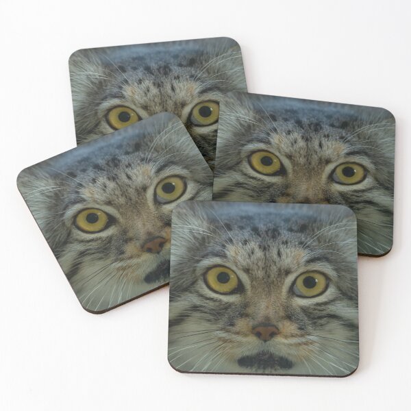 Item preview, Qara the Pallas Cat designed and sold by Adrian Rowley.