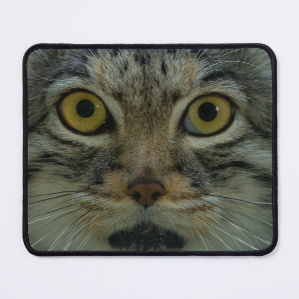 Item preview, Qara the Pallas Cat designed and sold by Adrian Rowley.