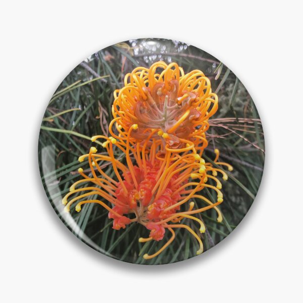 Item preview, Grevillea of Orange designed and sold by KazM.