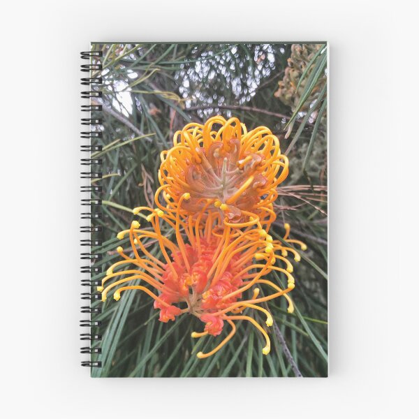 Item preview, Grevillea of Orange designed and sold by KazM.