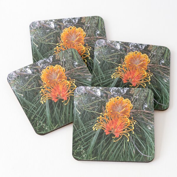 Item preview, Grevillea of Orange designed and sold by KazM.