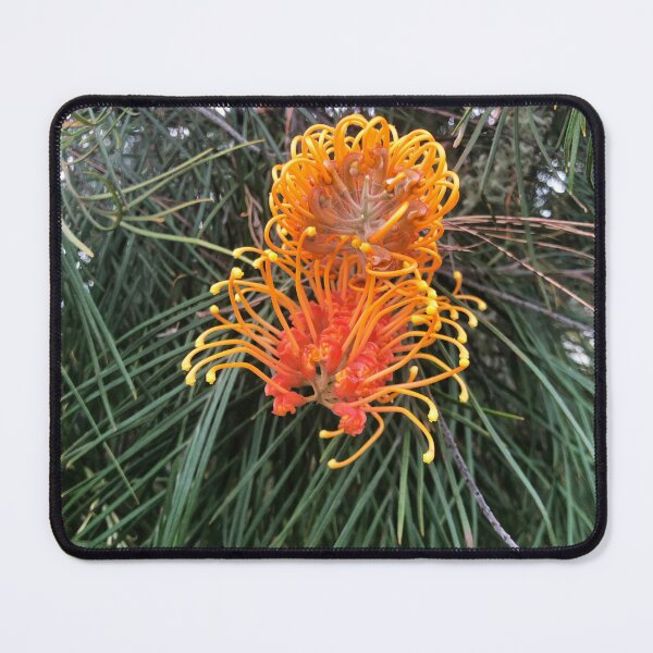 Item preview, Grevillea of Orange designed and sold by KazM.