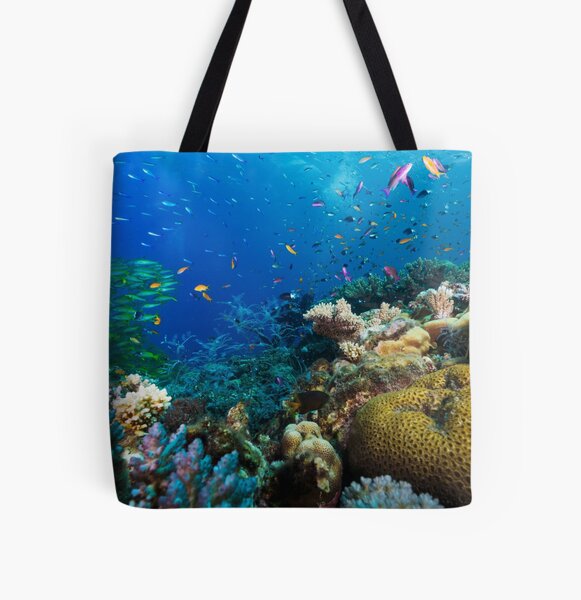 Plastic bag caught on tropical coral ree... | Stock Video | Pond5