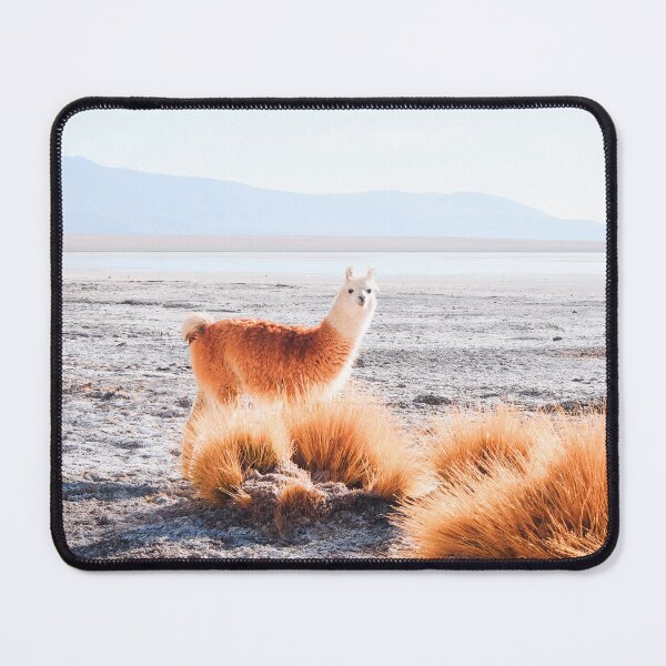 Item preview, Cute Llama Salar de Uyuni | Alpaca Bolivia Altiplano designed and sold by PhotosByVille.