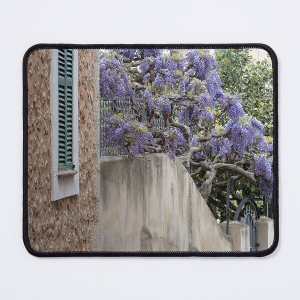 Item preview, Purple Tree Chinese Wisteria designed and sold by PhotosByVille.