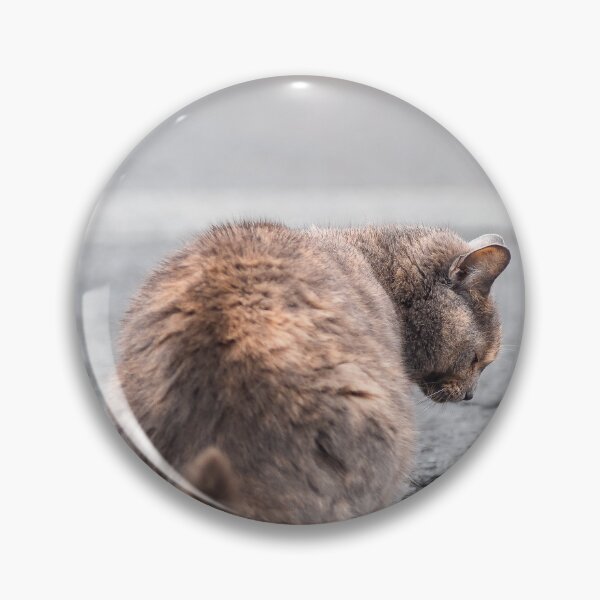 Item preview, Cat and Puddle | Cat Seeking Reflection designed and sold by PhotosByVille.