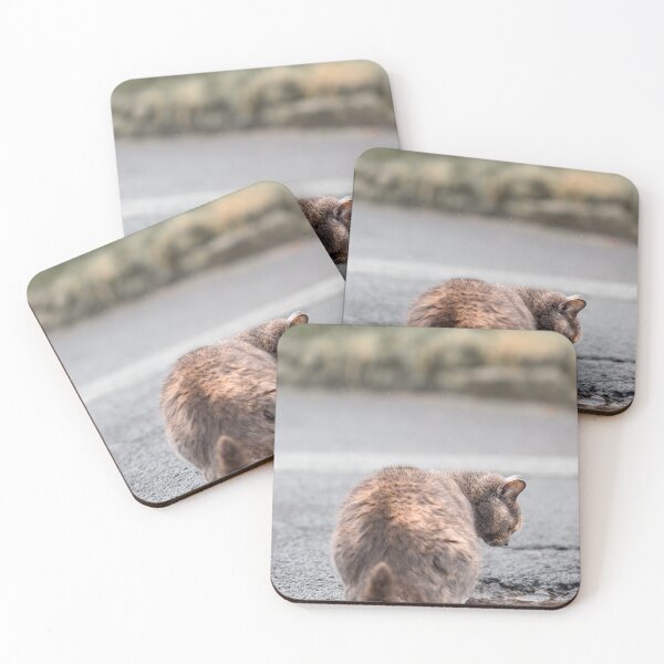 Item preview, Cat and Puddle | Cat Seeking Reflection designed and sold by PhotosByVille.