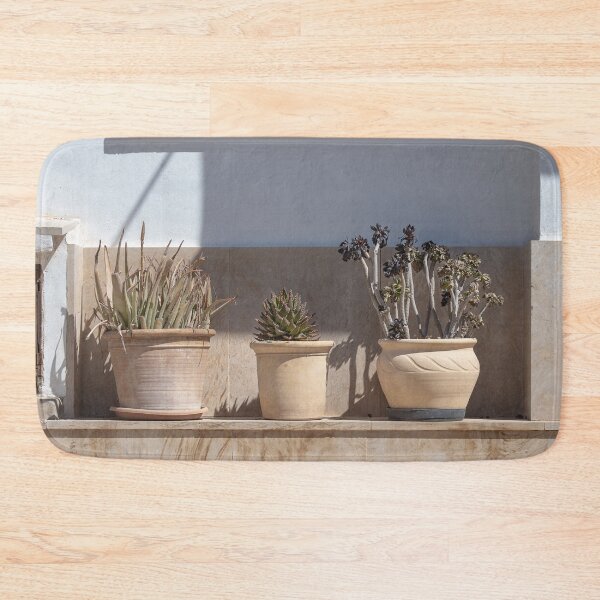 Item preview, Three Cactuses Mallorca designed and sold by PhotosByVille.