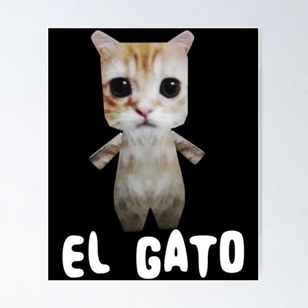 100 Gato ideas  cats, cute cats, cat memes