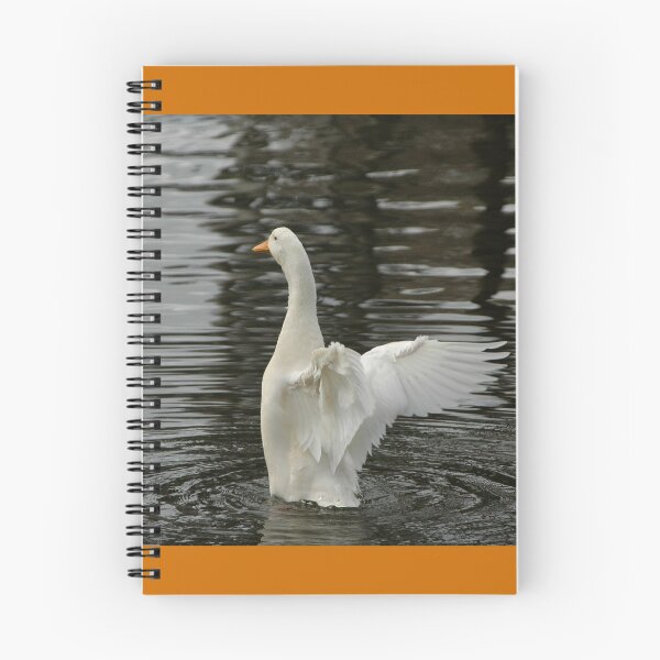 Item preview, White Duck, Chinese Gardens, Lambing Flat, Via Young designed and sold by muz2142.