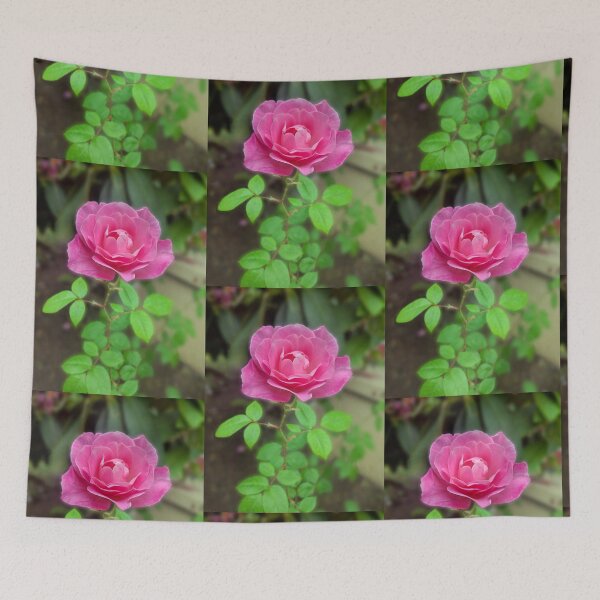 Item preview, Pretty Pink Rose 1 designed and sold by IrishEyesMrsZ.
