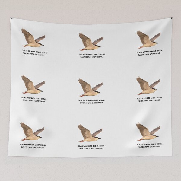 Item preview, Isolated Black-crowned Night Heron 2017-6 designed and sold by Thomasyoung.
