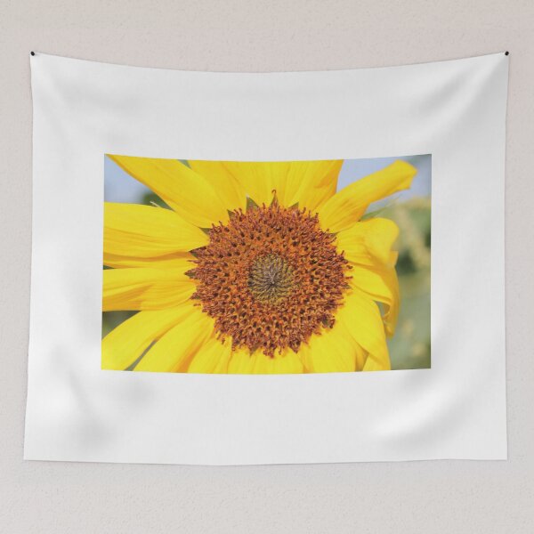 Aperçu de l'œuvre Super tournesol créée et vendue par SunnyImage.