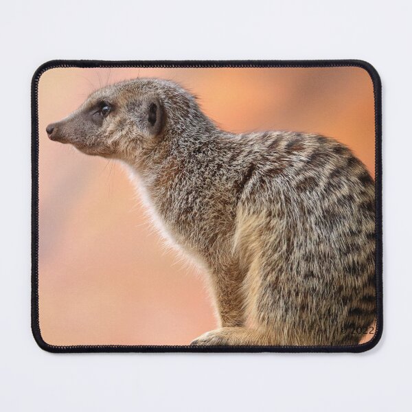 Item preview, Meerkat. designed and sold by Ian Ramsay.
