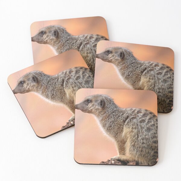 Item preview, Meerkat. designed and sold by Ian Ramsay.