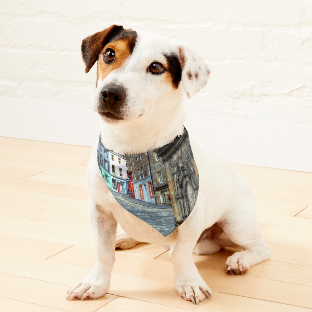 Item preview, Pet Bandana designed and sold by tommysphotos.