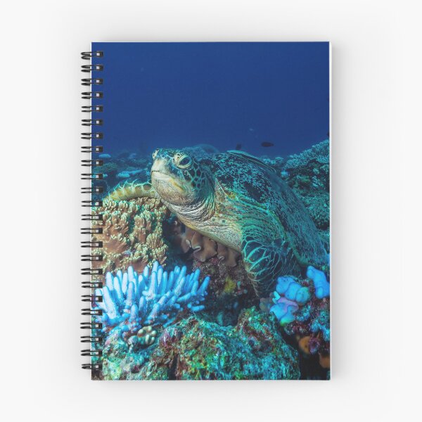 Item preview, Sea Turtle on the Great Barrier Reef designed and sold by seaearthandsky.