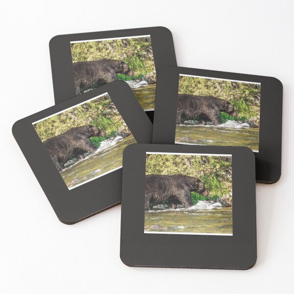 Artikelvorschau, Grizzlybär-Yellowstone-Nationalpark Chi Essent entworfen und verkauft von denhamma.