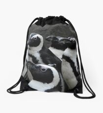 African Black-footed Penguin Drawstring Bag
