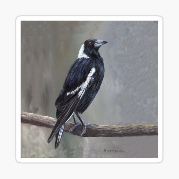 Item preview, Australian Magpie - Bird Art - Magpie Art designed and sold by JanetMGraham.