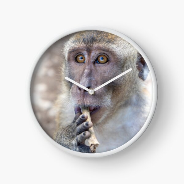 young monkey Clock
