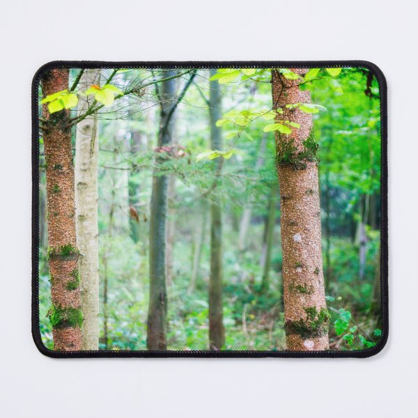 Item preview, Beech tree wood designed and sold by FOLK ART FUSION by heidiannemorris.
