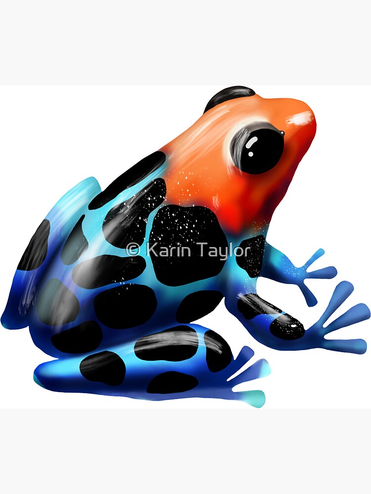 Blue Poison Dart Frog - Imagination Toys