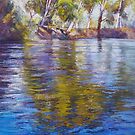 Reflections of the Goulburn by Lynda Robinson