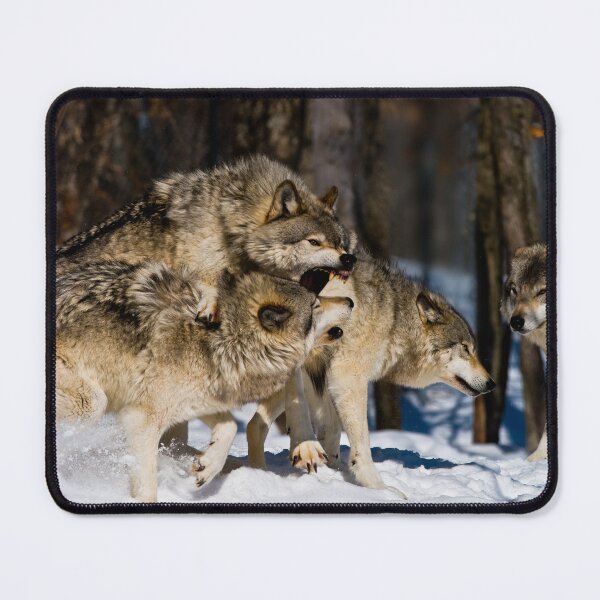 Item preview, Gray Wolves designed and sold by Michael Cummings.
