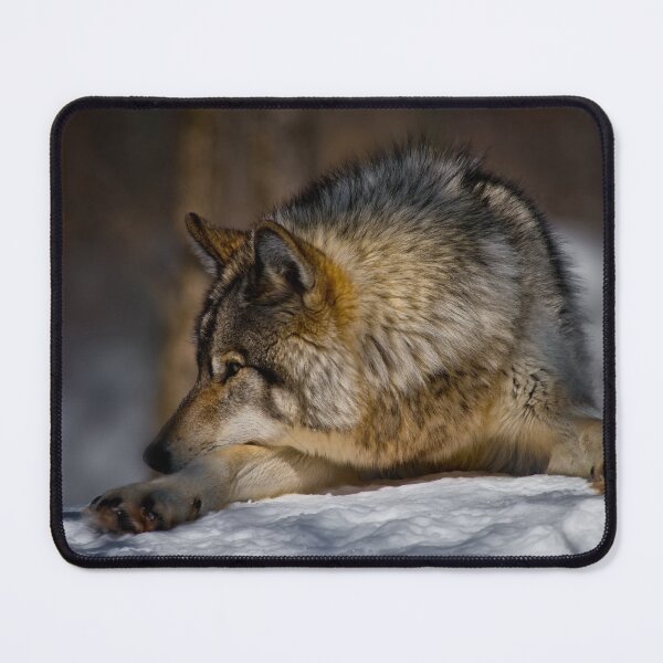 Item preview, Gray Wolf designed and sold by Michael Cummings.