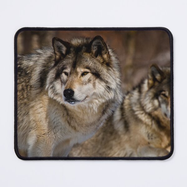 Item preview, Timber Wolves designed and sold by Michael Cummings.
