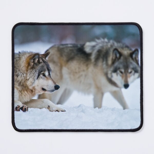 Item preview, Grey Wolves designed and sold by Michael Cummings.